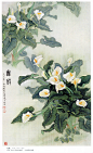中国现代名家金鸿钧的工笔花鸟绘画（一）