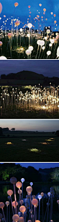 "Field of Light" displayed at the Eden Project in Cornwall