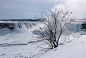 horseshoe falls 