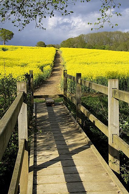 foot bridge and path...