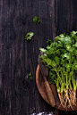 coriander leaves