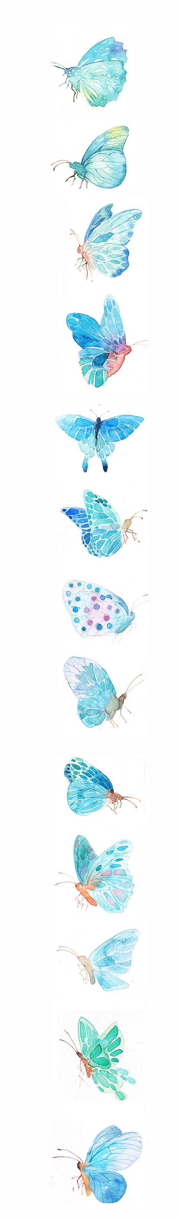 我爱的蝴蝶们~蓝蝴蝶在夏天会凉爽些吧~-...