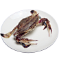 野生梭子蟹1kg/6-8只，鲜活发货螃蟹新鲜白蟹海鲜水产飞蟹海蟹-tmall.com天猫