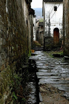 小鱼儿悠然采集到风景