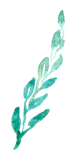 秃了但更强了采集到热带水彩植物叶子花卉海报请假元素免抠PNG图案PS素材(1)
