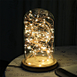 北欧宜家浪漫玻璃罩火树银花灯 创意LED装饰床头卧室台灯生日礼品