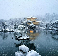 水仙欲乘鲤鱼去采集到凝琼雪华