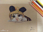 彩铅手绘猫咪，我是第一次画猫_猫吧_百度贴吧