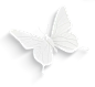 白色 纸雕 蝴蝶