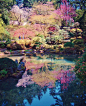 Japanese Garden, Portland, Oregon, USA。美国俄勒冈州波特兰日本花园，园内有五座花园，占地5.5英亩（约合33.4亩），是这城市西山上的一片恬静安乐之地。受日本神道教、佛教和道教思想的影响，设计者将石、水和植物这三种最重要的元素用于传统的日本园林：石是园之骨，水是园之脉，植物则是园林中四季美景的“艺术表演团”。在这里，您可观赏那一群群锦鲤，在天堂瀑布下的池塘中欢快地游动，为这美景又平添了几分生机。