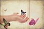很美的蝴蝶，很美的手