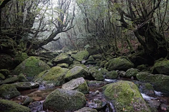 莉啊采集到山水