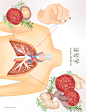 中医药膳针灸蘑菇林芝枸杞人参中式医疗医学插画