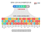 7月25日，著名调查公司益普索（IPSOS）发布一份关于奥运关注度的调查报告。结果显示，高达92%的中国受访者表示会观看2012年伦敦奥运会的比赛，这个比例位列24个受访国之首；最受各国人民关注的三个奥运项目是田径、足球和游泳，没有一个是中国传统夺金项目或传统强项。中国人最关注的三个奥运项目中依次是体操、田径和游泳。

在24个受访国家中，法国、德国和比利时对奥运会关注度最少，分别只有54%、54%和50%的受访者表示会观看奥运比赛。令人惊奇的是，东道主英国对奥运的关注度排名倒数第四，仅61%的人表示会观