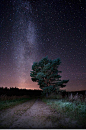 Mikko Lagerstedt 星星满天飞_Kc_Ferdinand_新浪轻博客_Qing