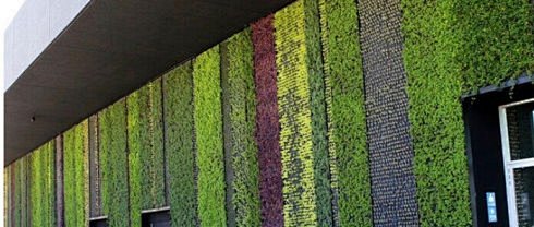 国外生态绿墙—城市绿化趋势_屋顶绿化立体...