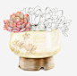 萌萌哒植物高清素材 可爱 多肉 手绘 水彩画 免抠png 设计图片 免费下载