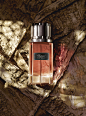 PERFUMES : Jean-Charles Recht - Photographe Parfum