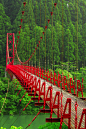 绿树红桥