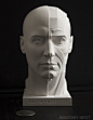 Anatomy Next - store - SKIN / TOPOGRAPHY HEAD