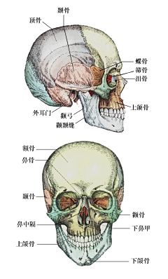 出门必备的干粮采集到恶魔