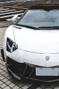 vividessentials:
“  Lamborghini Aventador LP700-4 | vividessentials
”