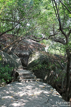 huwolf采集到炎炎夏日 厦门浪漫3日游