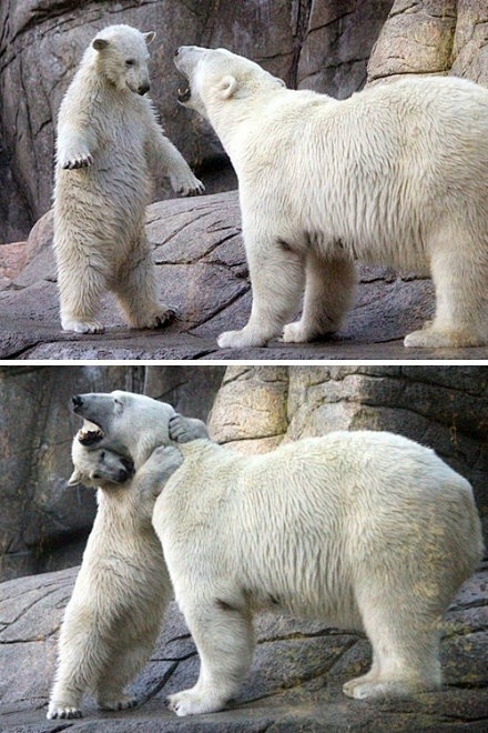 Bear's hug