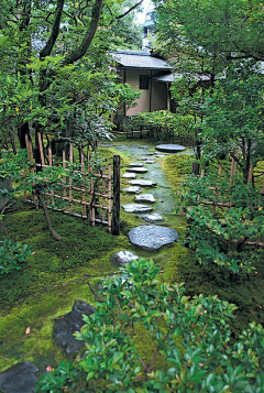 夏朵☂采集到我的孤独是一座花园