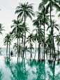 An infinity pool at the Banyan Tree Samui in Ko Samui,