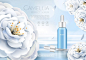 白茶花化妆品广告AI矢量模板 Camellia Cosmetic Ads :