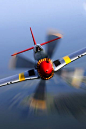 P-51 | •¥ In the Sky, By Land and Sea! ¥•