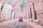 asia city Forests infrared japan lake photograohy