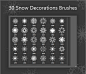 30 Snow Decorations Brushes