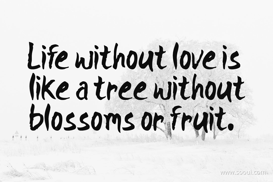 056d153ce95f26365e47c8b42880575fa29f5ef01a6ee-Lj2Rl4