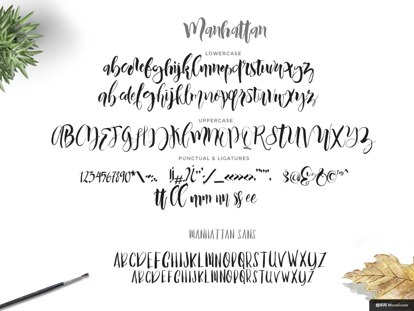 056f7b655d8001f0a561d46fd9fae7c2f00d60cf5fb17-07FdXA