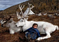 在蒙古一个饲养驯鹿的牧场里，牧场主家的小女儿躺在驯鹿身上睡着了