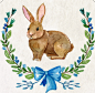 水彩绘可爱兔子矢量素材 