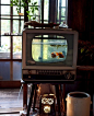 老电视做的鱼缸。这废物利用，无敌了。