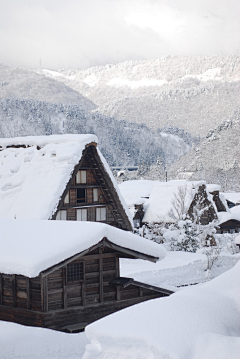 水公采集到雪   X