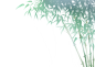 【素材】竹林素材 可做前景/背景点赞+评论可… - 半次元 - ACG爱好者社区