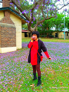 williamzhou92采集到缀满鲜花的悉尼最潮之
