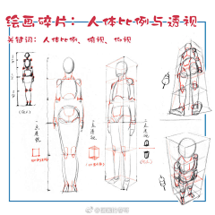 O六枚铜钱O采集到人体