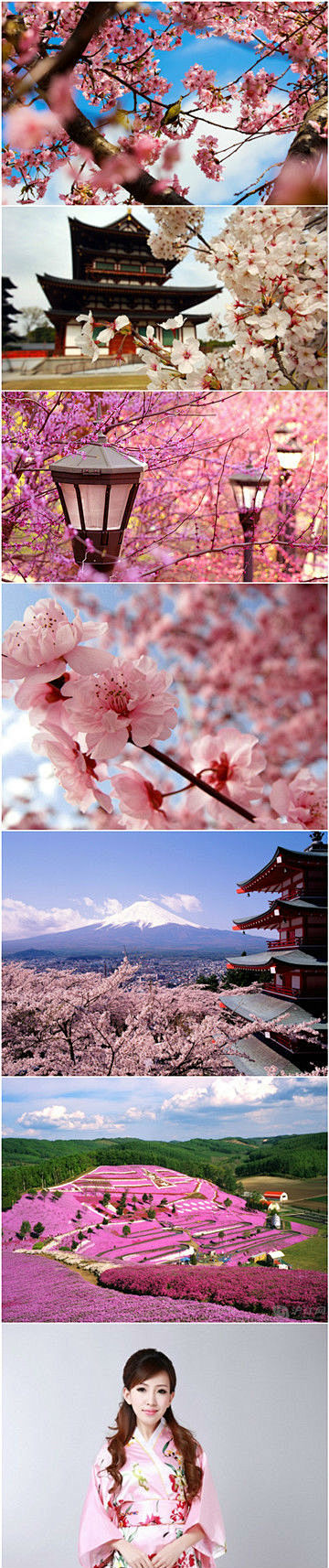 粉色日本
樱花、和服、少女的头簪。
...