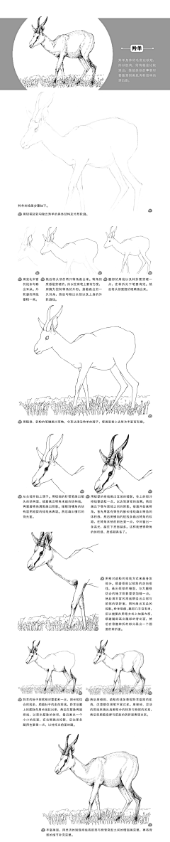 绘客采集到【黑白画技法教程】