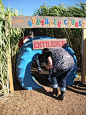 corn maze obstacle course - Google Search: 