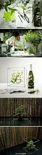 : Perrier-Jouët Belle Epoque Florale Edition，由日本插花大师Makoto Azuma打造。他的创作也是向1902年的Art Nouveau艺术大师Émile Gallé的致敬。不过看了这位大师的作品不仅让我想到上海世博会日本企业馆里的另一件插花作品，一查，果然是同一人。大家新创作都是原有版本的升华啊？！