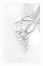 Paper Sculpture : White Thai Flowers : From papers to flowers.  