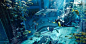 失落的空间水族馆|迪拜亚特兰蒂斯失落的空间水族馆