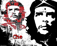 戆鸠鸠采集到Ernesto Guevara